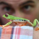 follow-the-frog-high-res-still-final