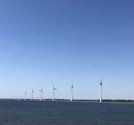 Windmolens in Urk. Foto: Pieter Verbeek.